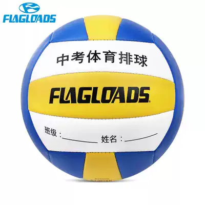 No. 5 volleyball students in the high school entrance examination special beach Women's Test volleyball super soft does not hurt the hand adult children's volleyball