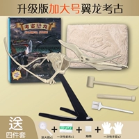 Большой археологический динозавр, птерозавр, ископаемые