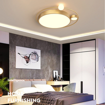 Golden bedroom light Ceiling light Luxury Simple warm romantic Master bedroom room light Creative personality Nordic study light