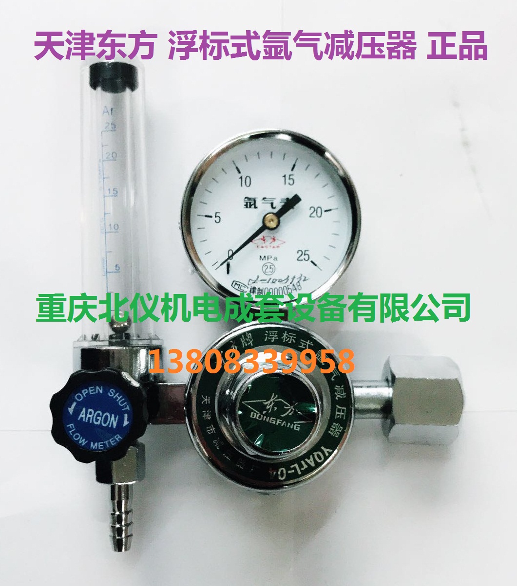 Tianjin Oriental Copper argon reducer YQArL - 04 argon table double - head buoy argon reducer