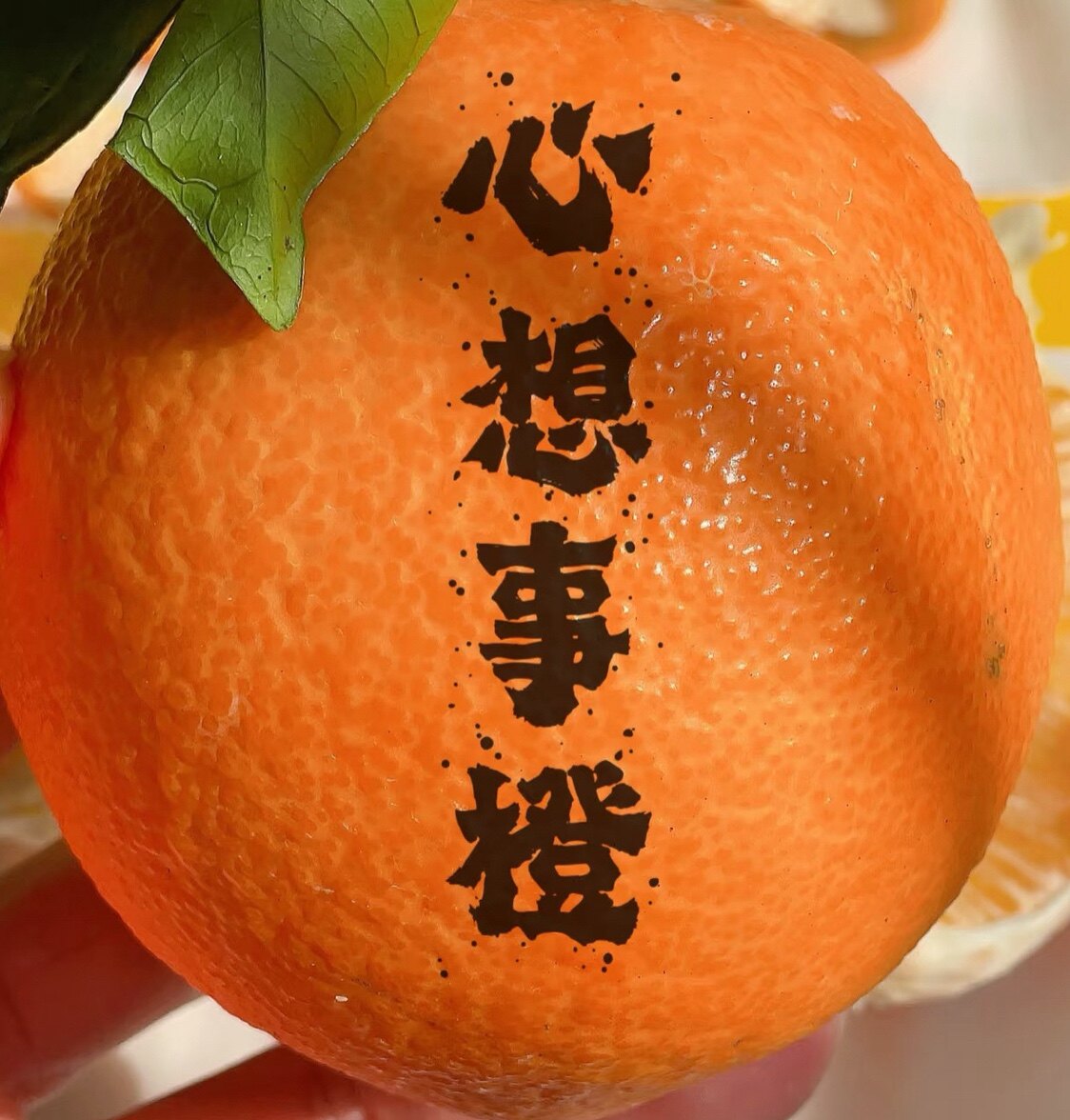 Gao小铺的LOGO