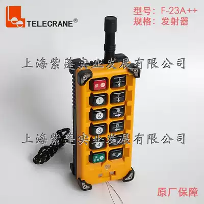 Taiwan Yuding Industrial Remote Control F23-A Transmitter Lifting Two Speed Hoist for F-23A