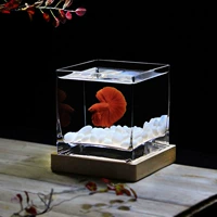 15 квадратных цилиндров с основанием для деревянного пояса с белыми камнями, чтобы отправить крышку