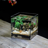 15 квадратных цилиндров+моделируемый тонущий древесина и растения устанавливают блюда и электронные огни