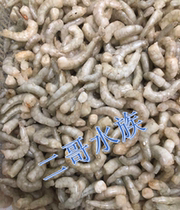 Second brother aquarium Bohai Bay frozen Loach shrimp section Loach section waterless abundant prawn red insect granule ornamental fish feed