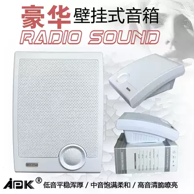 APK wall speaker background music radio audio wall speaker classroom speaker can come to the factory for inspection