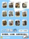 Adorable pets at home Guangzhou door-to-door dog walking service pet feeding Spring Festival National Day May 1 pet door-to-door feeding