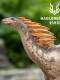 Authentic Hailong Valley Amargasaurus Pterosaur Jurassic Dinosaur Animal Figure Model Gift Ornament 1/35