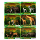 Simulated animal model fantasy forest wild animal tiger elephant rhinoceros zebra giraffe toy gift box