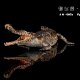 Authentic Haolonggu Emperor Crocodile Early Cretaceous African Ancient Extinct Animal Toy Plastic Model Ornament 1/35