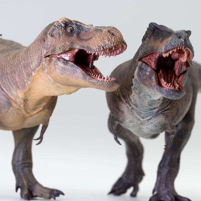 Authentic Good Dragon Valley Double-Lipped Tyrannosaurus Rex Jurassic Dinosaur Toy Plastic Figure Model Ornament 1/35