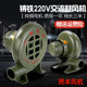 Soplador centrífugo de 220v con molde de aire Minfeng Minfeng
