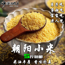 Chaoyang millet specialty 2020 new rice confinement rice red valley beige millet supplement food to nourish the stomach porridge 5 kg