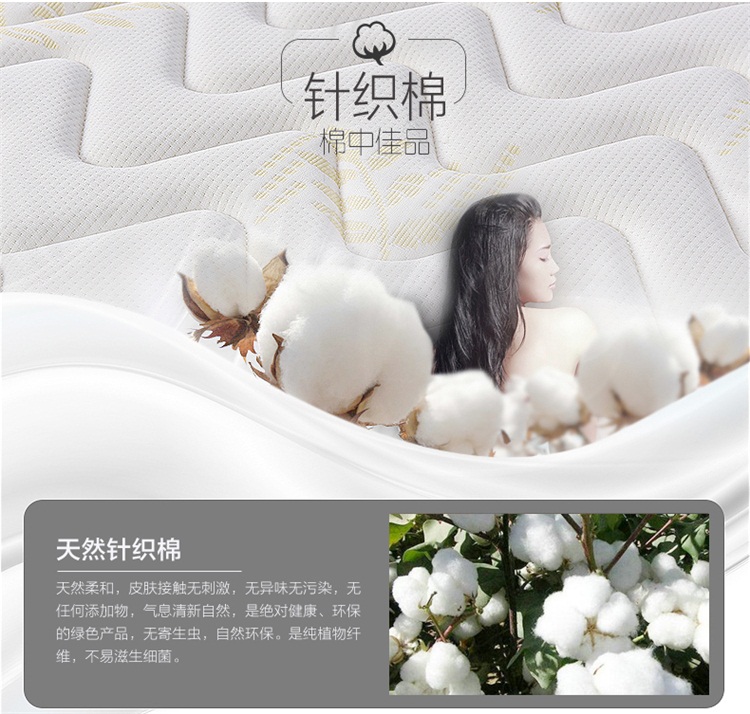 Gisborne Simmons nệm chính hãng đơn hoặc kép Shu Fei 2000 3E cọ dừa cứng và mềm kép mùa xuân vận chuyển nệm - Nệm nệm memory foam