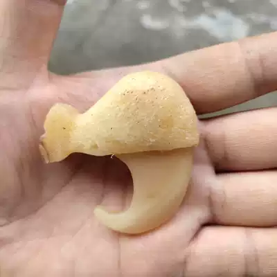 Wen play miscellaneous animal evil evil cow bone carving beast catch beast catch gift Resin bear tiger pendant Beast tooth gift