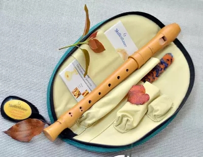 Authorized sale mollenhauer2106 treble wood flute straight flute pear wood C tone baroque style