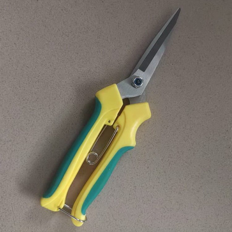 Pitaya pruning shears Korean fruit tree horticultural scissors, buds, grafting scissors, rough shears, fruit shears, tree shears, longer