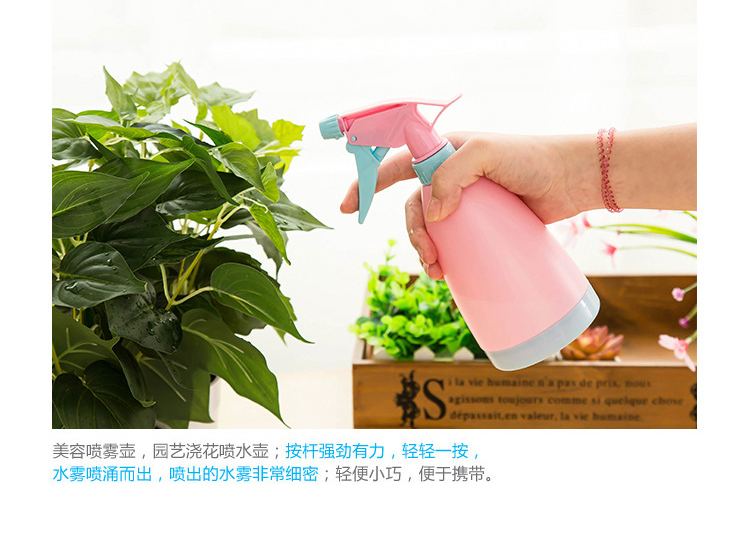 Tưới nước có thể tưới nước cho chậu trồng cây xanh cung cấp chậu phun nhỏ tưới nước có thể tưới nước siêu nhỏ. - Nguồn cung cấp vườn vòi tưới rau