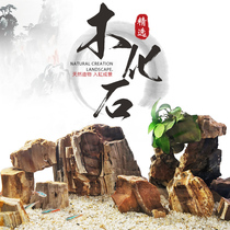 Ecological fish tank grass tank aquarium landscaping natural material decoration stone rockery pine bark stone Qinglong stone wood fossil
