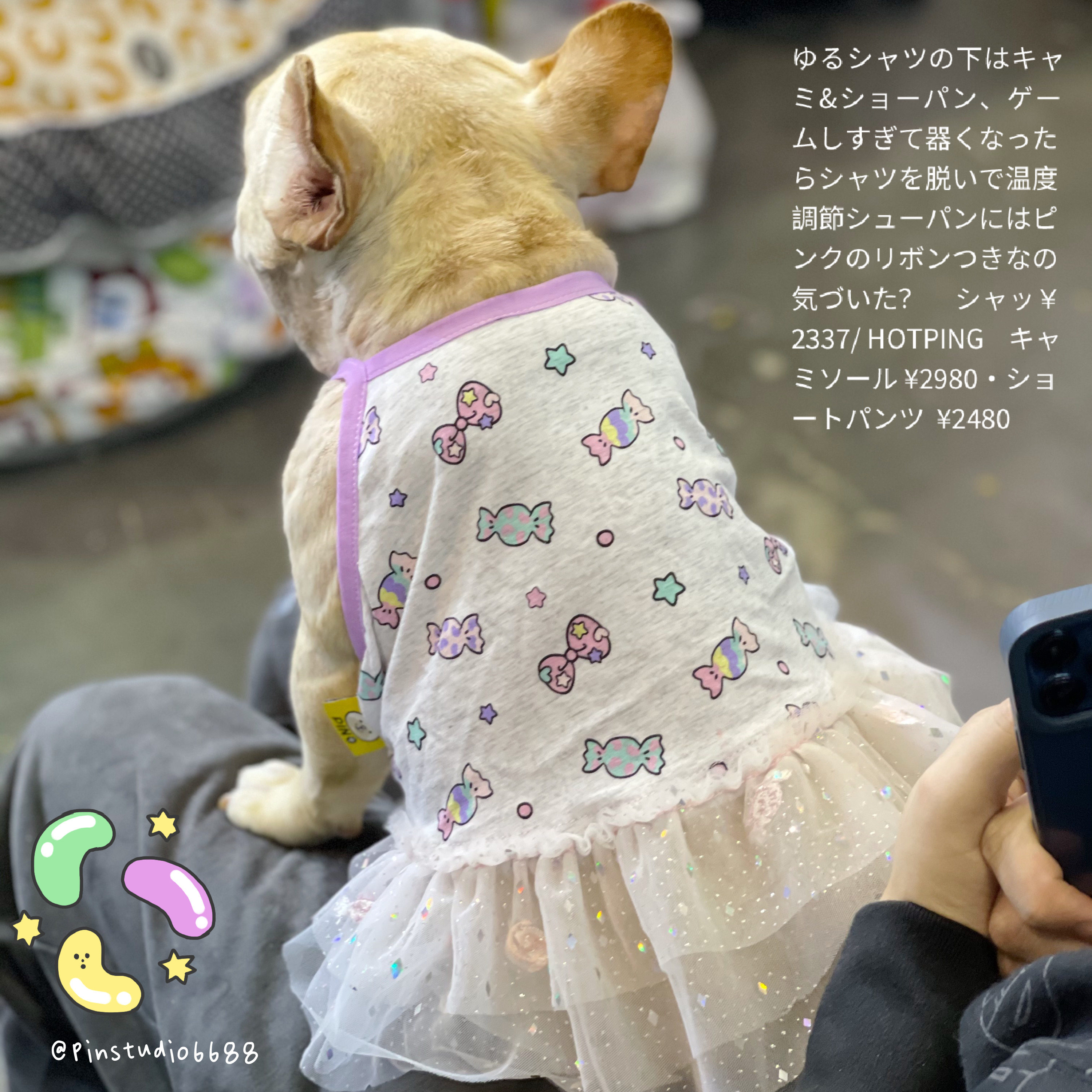 PIN 2021SS Pets Summer candy skirts Fat dogs Custom Skirt Dogs Clothes
