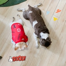 PIN method fight fight fight spike second kill exclusive link No. 2