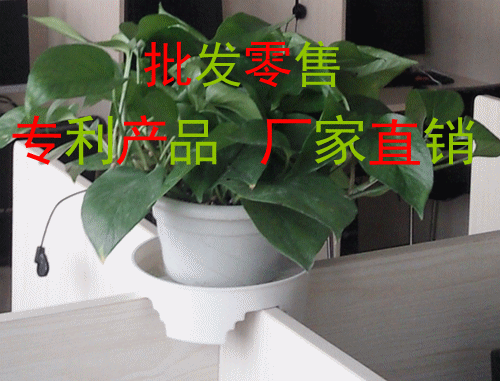 Sản phẩm mới nhà xanh bằng sáng chế sản phẩm trạm phân vùng màn hình chậu hoa khay văn phòng khu vườn xanh cung cấp chéo - Nguồn cung cấp vườn bình tưới cây cảnh