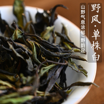 2020 Wild Breeze Single Plant White Single Plant Grade Wild Tea King 1000 Strong mountain flavor and refreshing taste