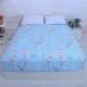 Cotton Ai Cập dài chủ yếu cotton satin 60 sợi 300 giường đơn cotton đôi size kích thước tùy chỉnh - Trang bị Covers