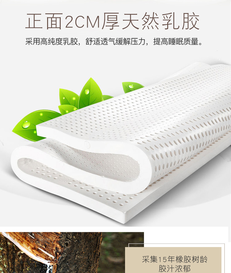 vải Camel tóc có xu hướng xơ dừa cứng nền kinh tế giữ trẻ nệm sườn núi 1.2m 1,5 tatami nệm trải giường đôi - Nệm nệm ngủ
