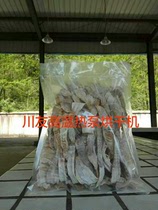 Mushrooming dryer bamboo shoots dryer bamboo shoots dry roasting equipment