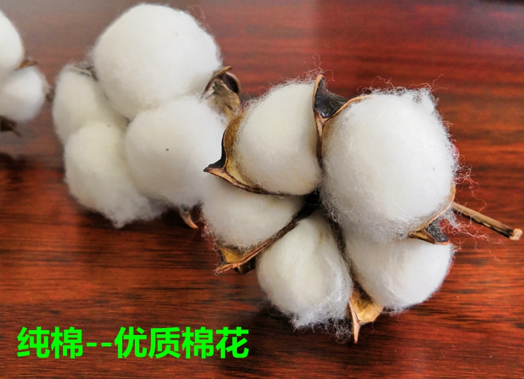 Bông vải thô cũ đơn mảnh ba bộ ký túc xá bông dày đơn đôi 炕 đơn 1,5m1,8 m 2 - Khăn trải giường ga giường cute