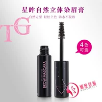 Tracey Garden Garden Green Natural Stereo Không thấm nước Mascara Lông mày Lông mày Bút chì chi ke may