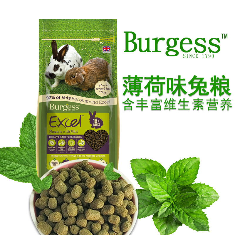 Spot August 2022 Bourgs Mint Adult Rabbit 4KG Drooping Ear Rabbit Cat Cat Rabbit Rabbit Rabbit Feed Food