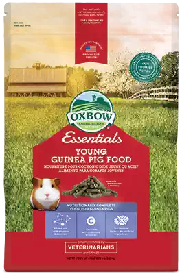 American Aibao Oxbow juvenile guinea pig food guinea pig grain 5 pounds spot