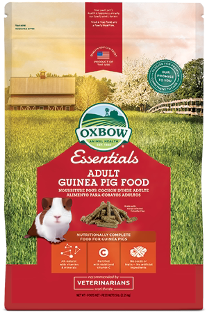 Oxbow Adult Guinea Pig Food Dutch Pig Food Guinea Pig Food 10 lbs XB036 Staple Food 4 5kg