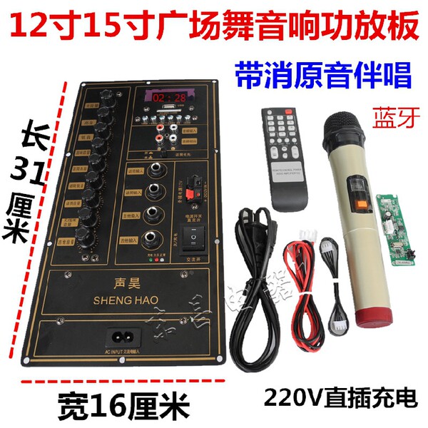 Чемодан, материнская плата с зарядкой, высокая мощность, bluetooth, 220v, 310x, x160