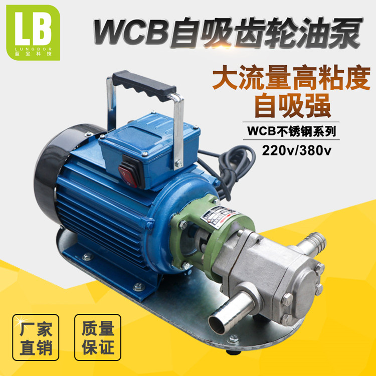 wcb不锈钢齿轮油泵/食品级液体输送泵/防腐蚀液体泵/食品级输液泵