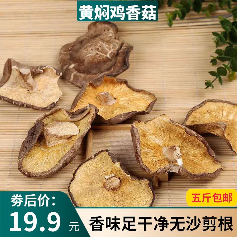 Farmers large thick slice of mushroom dry cargo hand picking mushroom fragment fragment pack of dumpling filling 500g 5 kg