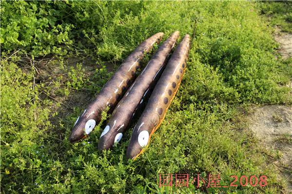 Peluche manga en peluche anguille Pippi - Ref 2694963 Image 5