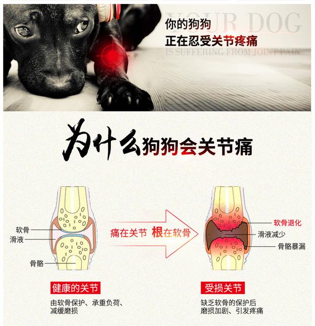Wei Shi U loạt kem dinh dưỡng thú cưng cung cấp sức khỏe cho chó con men và bảo vệ chó khớp Shu 160 miếng cho mèo con uống sữa gì
