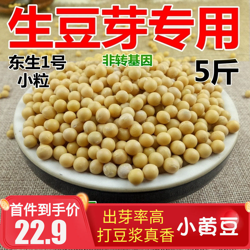 Northeast bean sprouts special natto new beans non-GMO soybean small grain farmers grow their own production of 5 pounds of soy milk