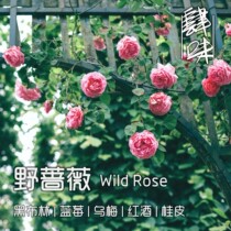 Four-flavor hand-made single product Ethiopia Guji red wine sun briar coffee beans 227g hanging ears 5 packs