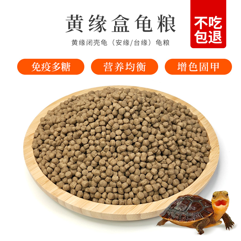 Yellow Edge Tortoise Grain Yellow Edge Box Turtle Feed Yellow Edge Closed Shell Turtle Special Semi-Water Tortoise Turtle Stock Turtle Stock Turtle Stock Turtle Food