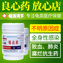 Rui Daxins unknown cause health sepsis pneumonia rotten turtle turtle special mixed infection rotten medicine