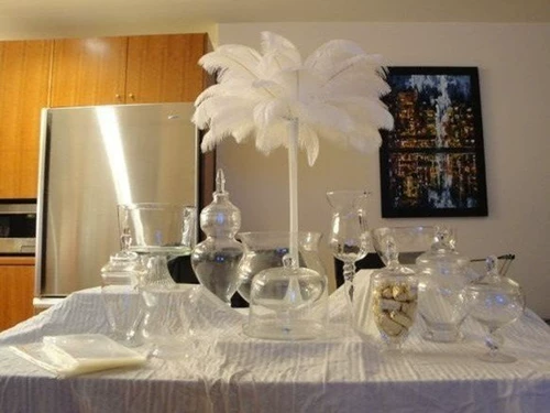 Южная Африка импортированная страус.