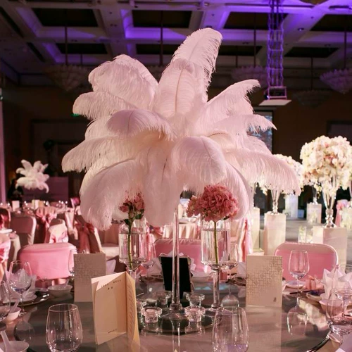 Южная Африка импортированная страус.