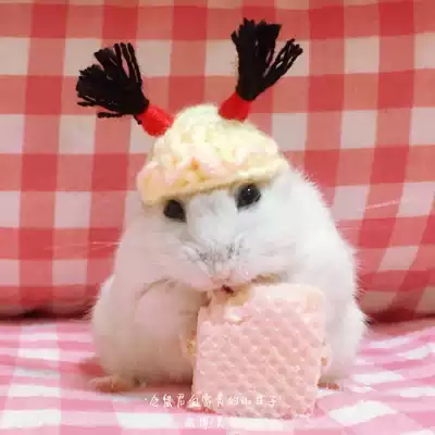 (Bai Fumei Xiaopo) Pony Tail Hat Pet Hat Hamster Hat Golden Bear Tongxin Heart Rat Toro Guinea Pig Photo