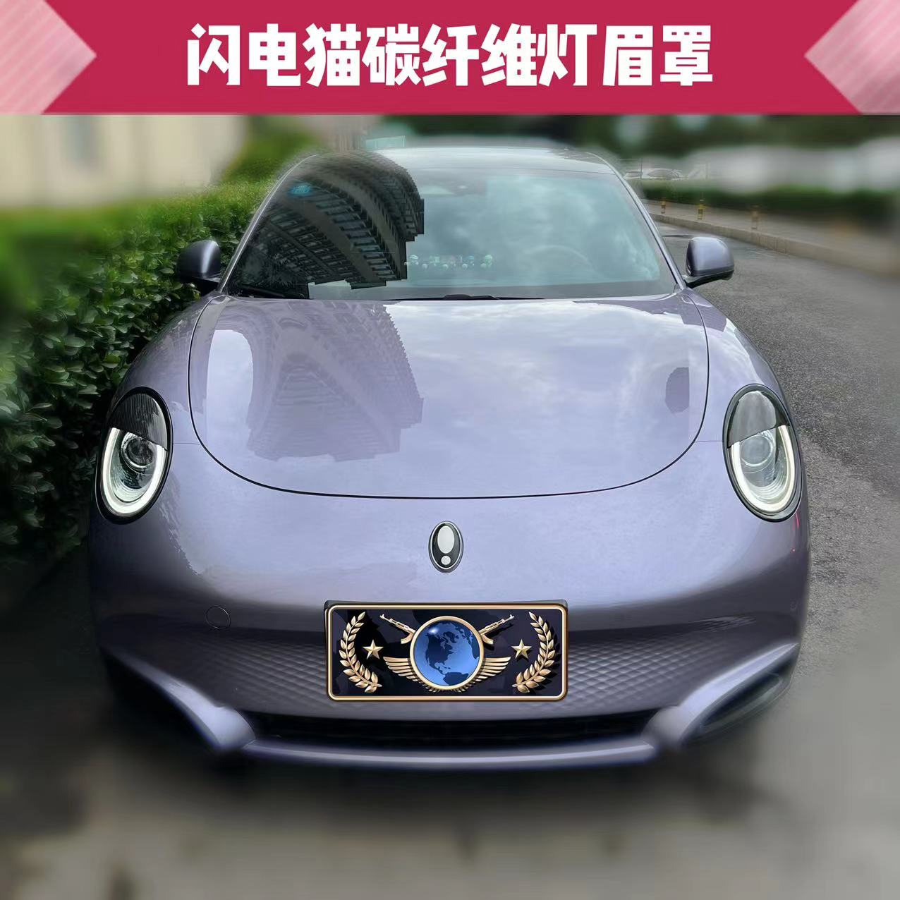 Great Wall L' Ora Lightning cat carbon fiber lamp brow with double eye skin patch-Taobao