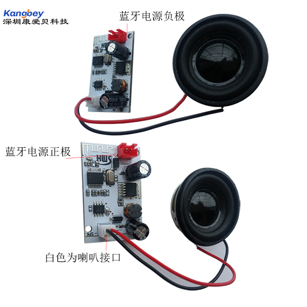xe thăng bằng xindile Xe hai bánh cân bằng điện xoắn xe Bluetooth Loa bảng mạch mô-đun mạch điện áp rộng 12V ~ 24V đầu vào - Smart Scooter xe thăng bằng điện