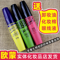 Euromont mascara natural fiber length dense roll up encryption lengthened waterproof without fainting beginners EU